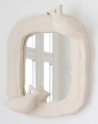 Petit miroir aux alouettes 02